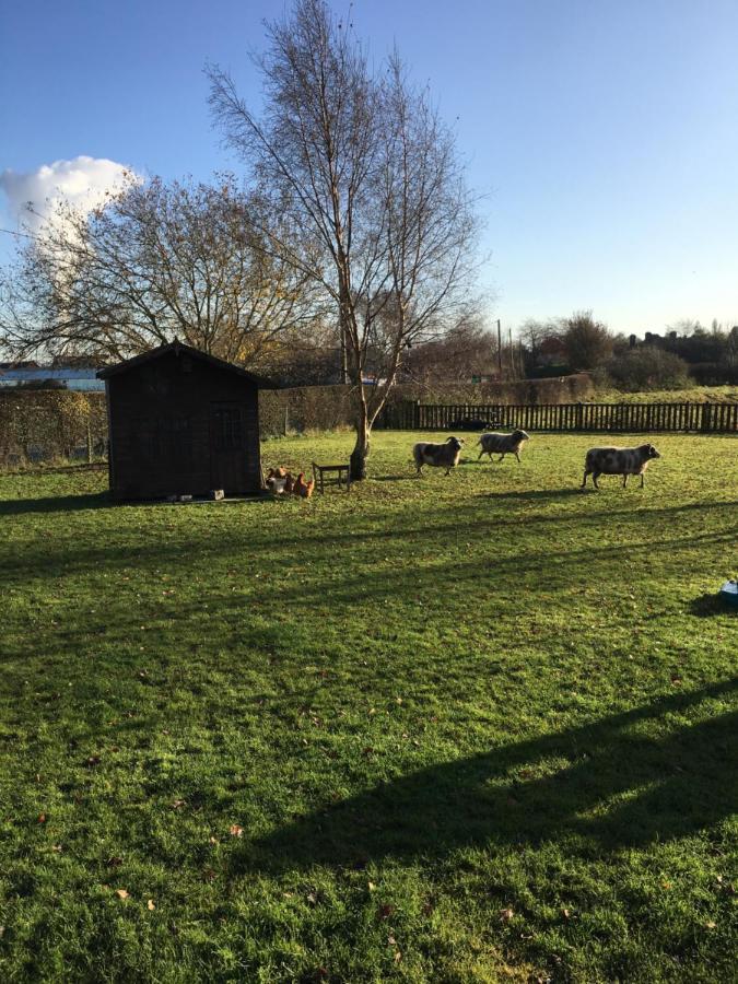 The Barn Bed And Breakfast Hale  Luaran gambar